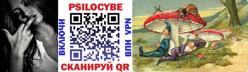 omg как зайти  Йошкар-Ола  Псилоцибиновые грибы мицелий 